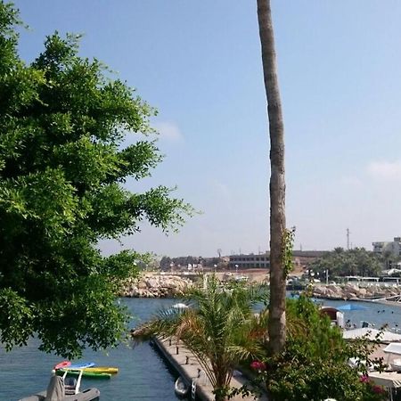 萨利纳斯度假酒店汽车旅馆 安法赫 外观 照片